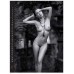 erotic moments s12 06